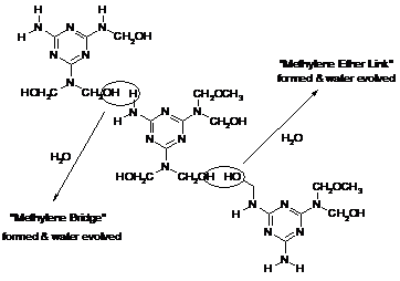 自縮聚反應(yīng)