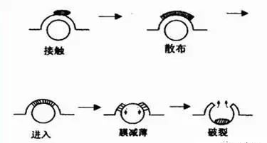 消泡機理
