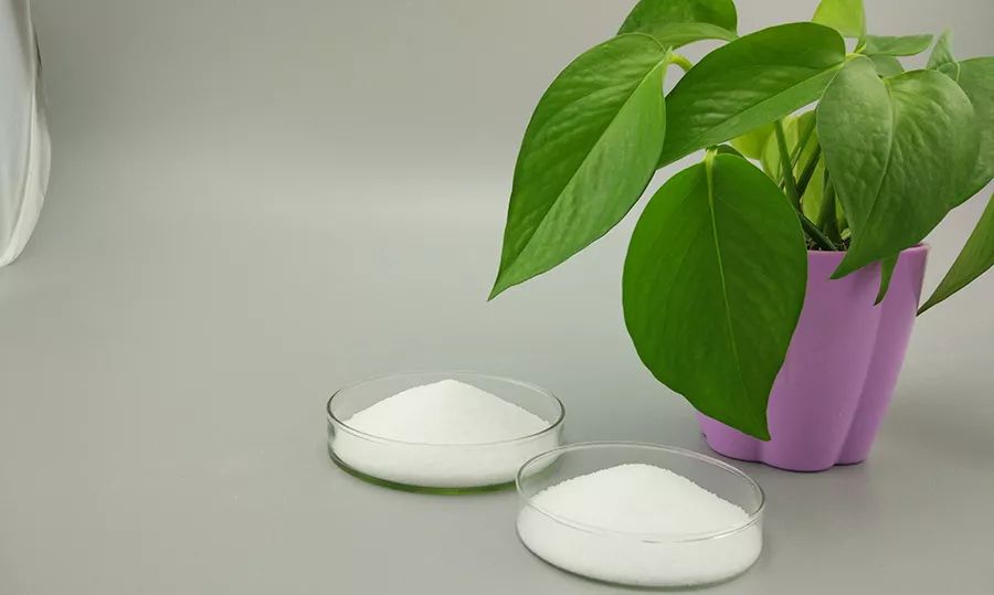 硬脂酸鋅